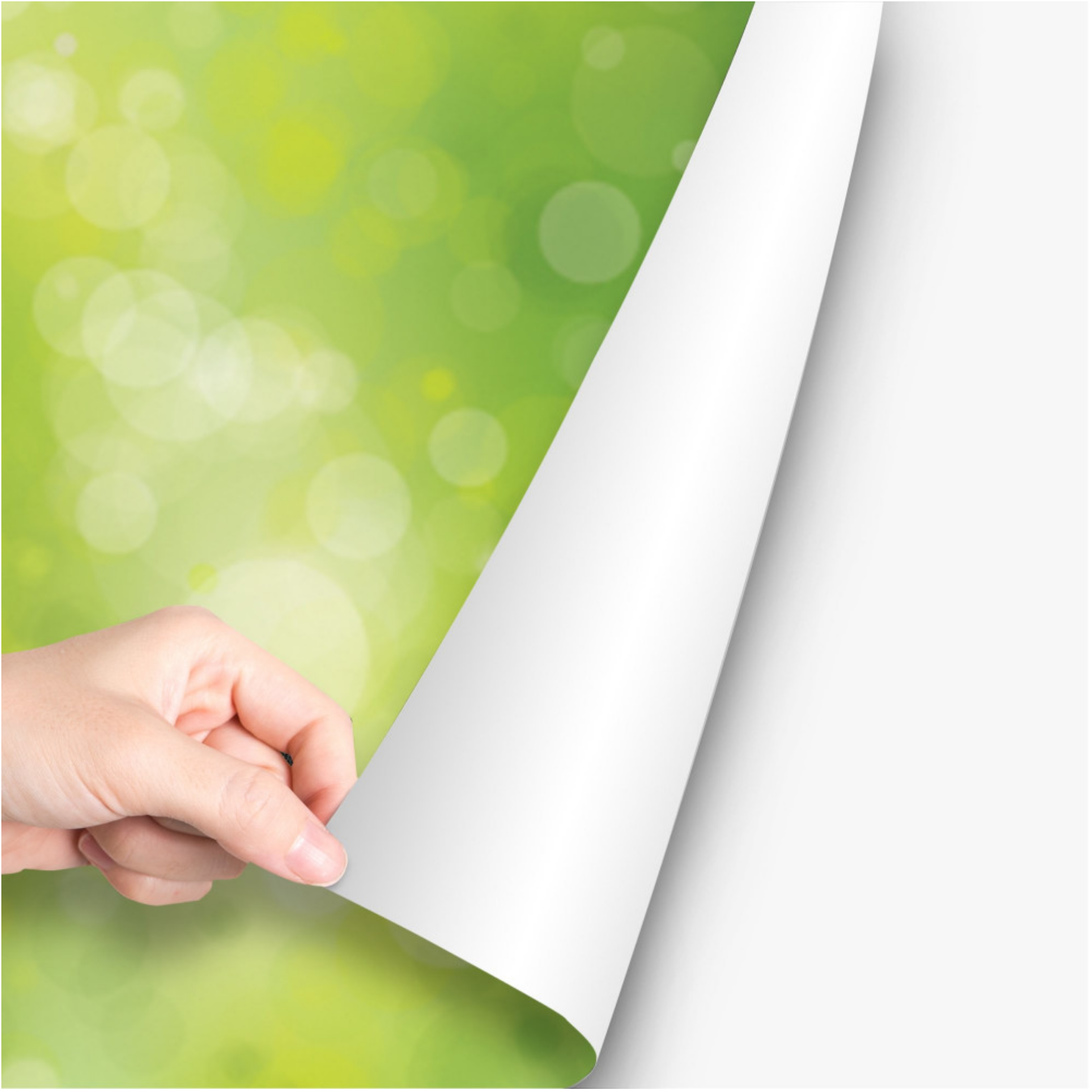 Adhesive Products